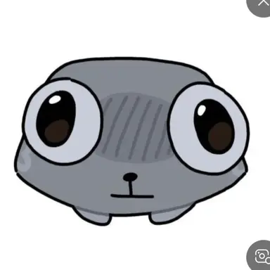 Profile image of 페블