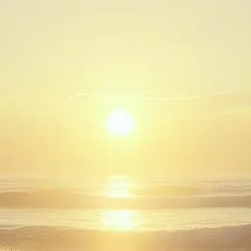 Profile image of 照