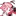 리효