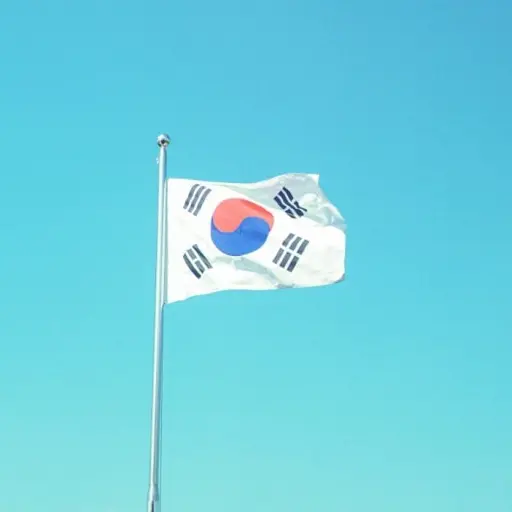 AngstyTetra5124의 소나무 아래에서