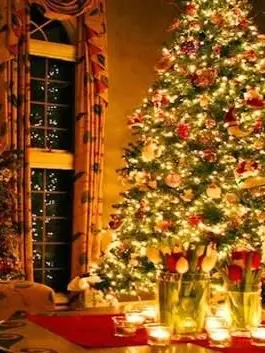 toggi11의 솔크,, 일 뻔