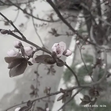 Profile image of 또니