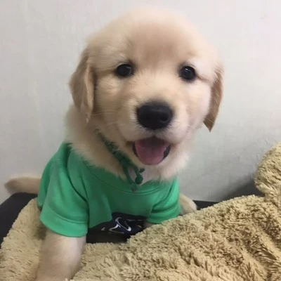 김승민