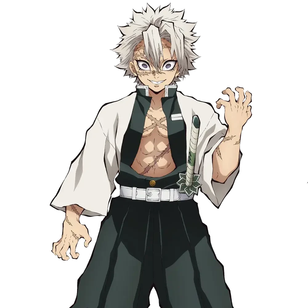 시나즈가와 사네미