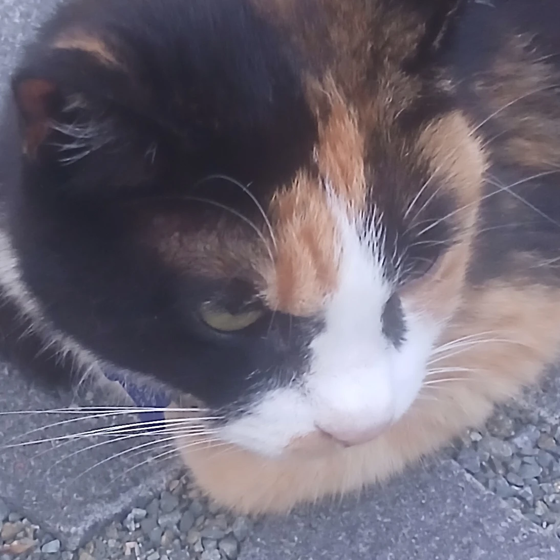 이란