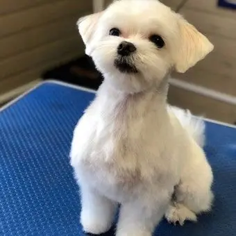 Profile image of 소금