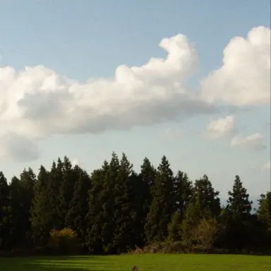 Profile image of 한유진