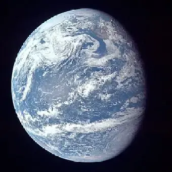 Profile image of Anything