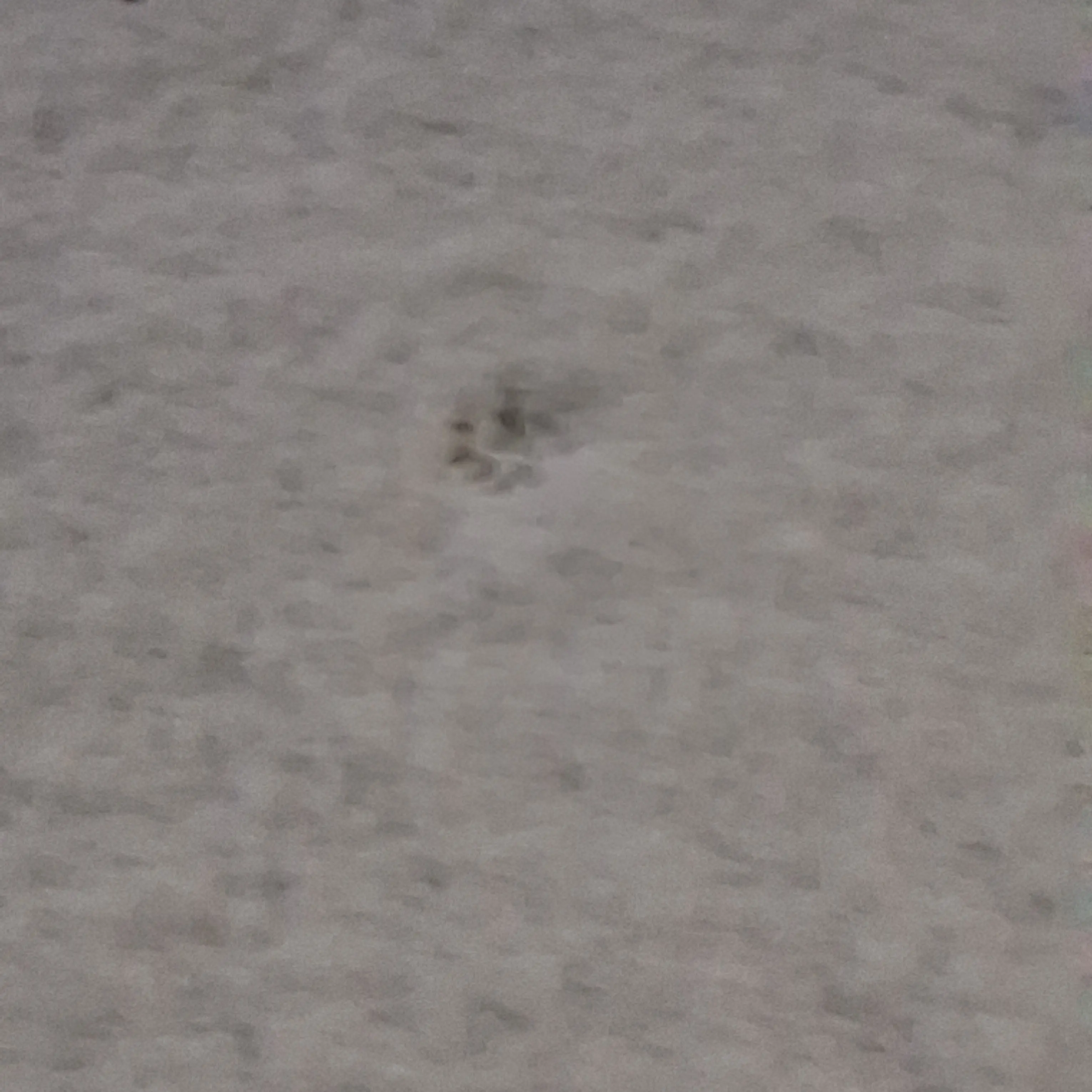 SquareDeli6481의 マイクラ・ゾンビ・アポカリプス