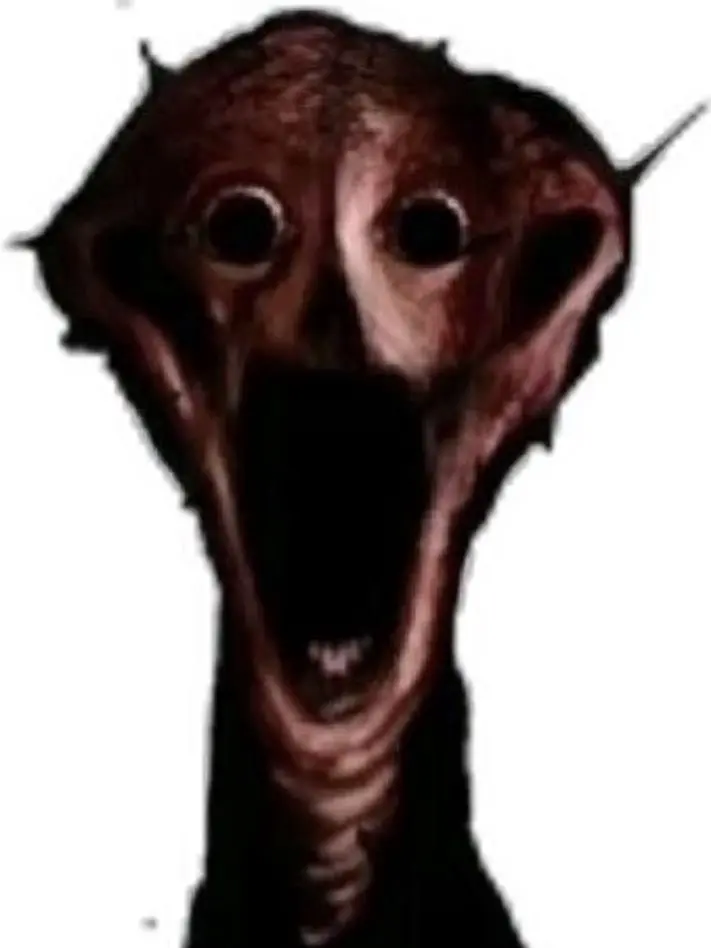 -_-.foxglove.-_-의 The boiled one phenomenon
