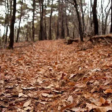 eatyou의 불면증.