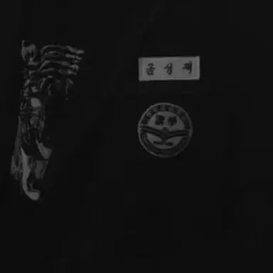 Profile image of 금성제