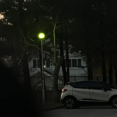 Profile image of 정공룡