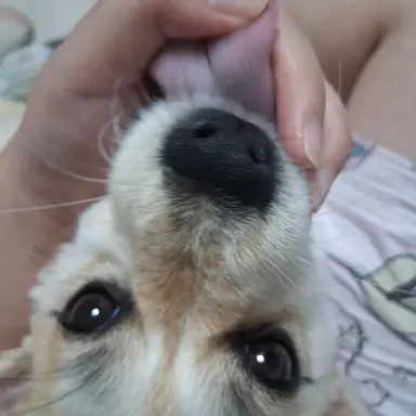 Profile image of 유튭중