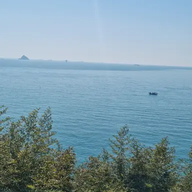 Profile image of 고고프렌즈