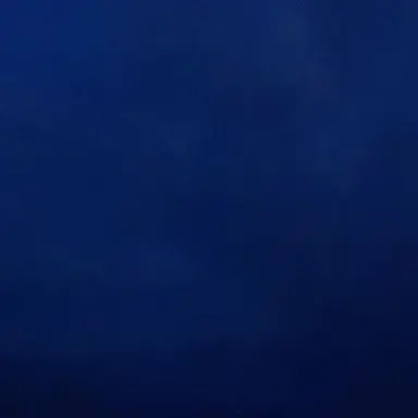 Profile image of 目黒蓮