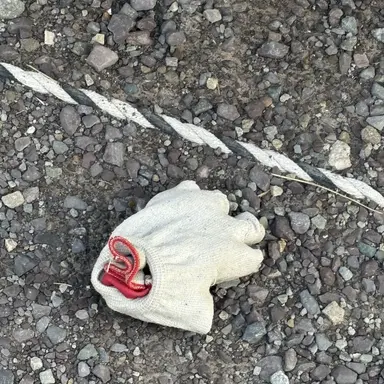 Profile image of 니노 선데이