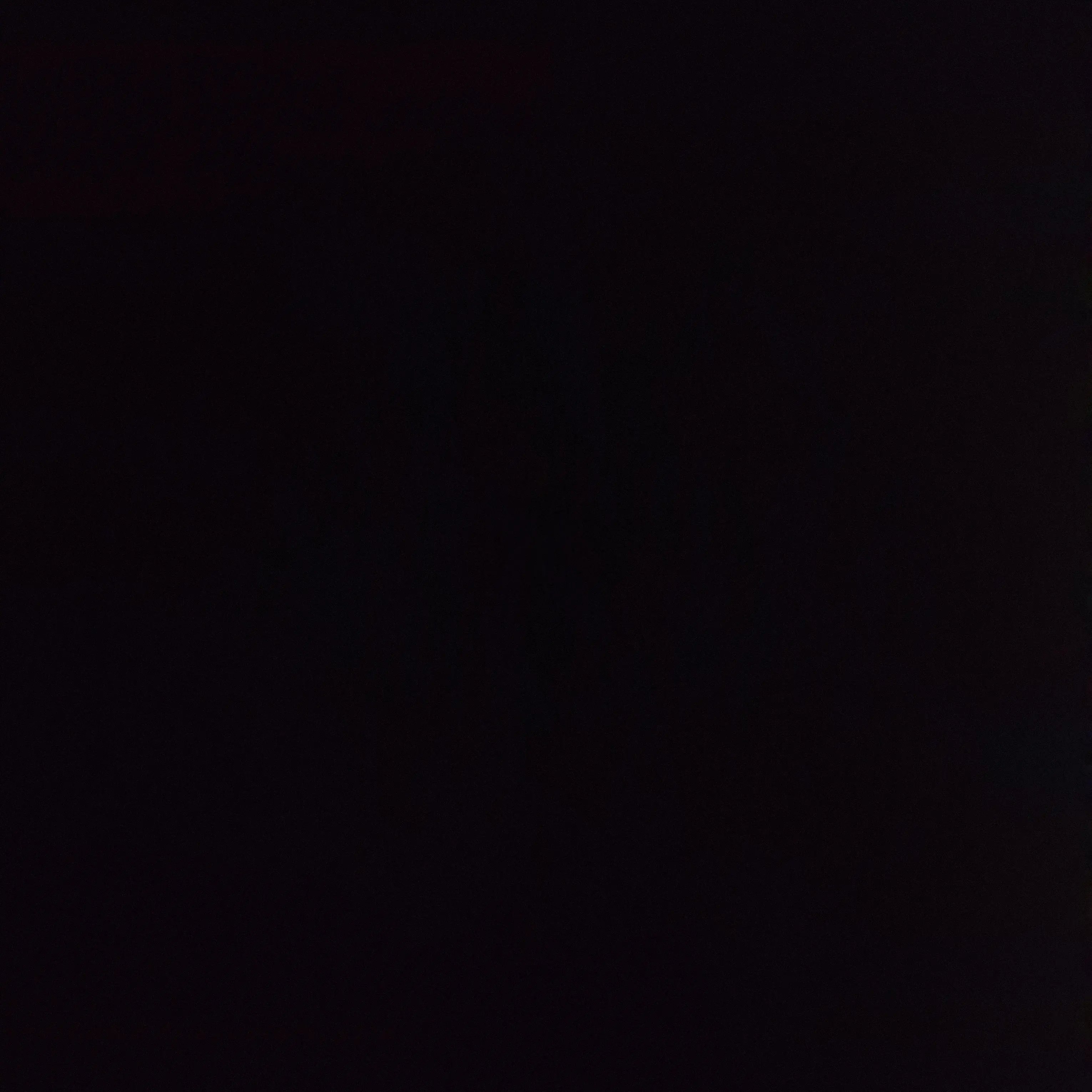 ExoticVein1821의 스키즈 조직 오빠들