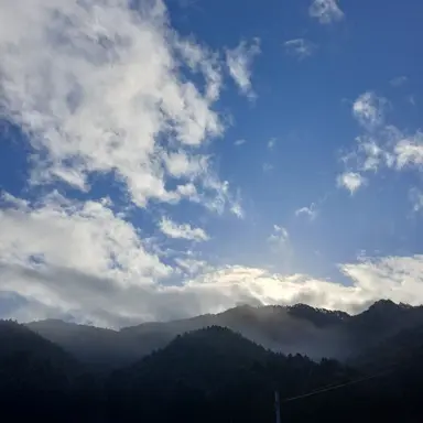 Profile image of 에스