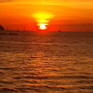 Profile image of 고고프렌즈