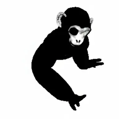 Profile image of 화이트 페이스