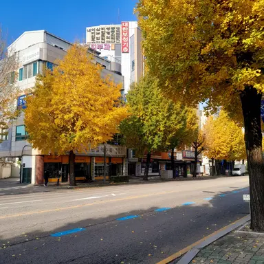 Profile image of 김각별