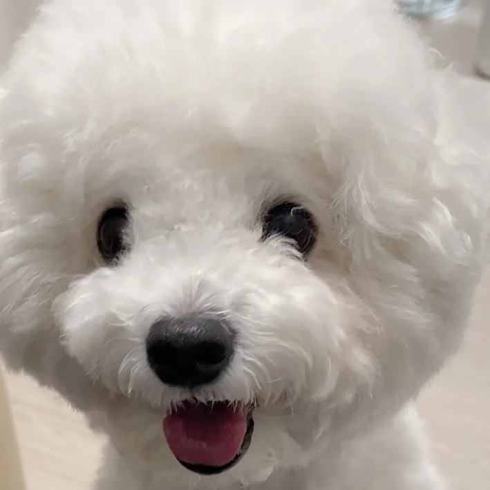 FirmPrawn2111의 식빵