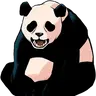 Profile image of 판다