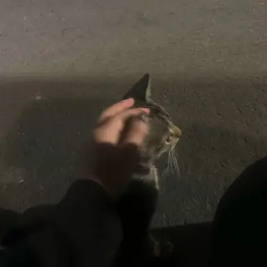 Profile image of 백진후