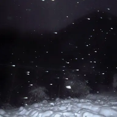 Profile image of 천유건