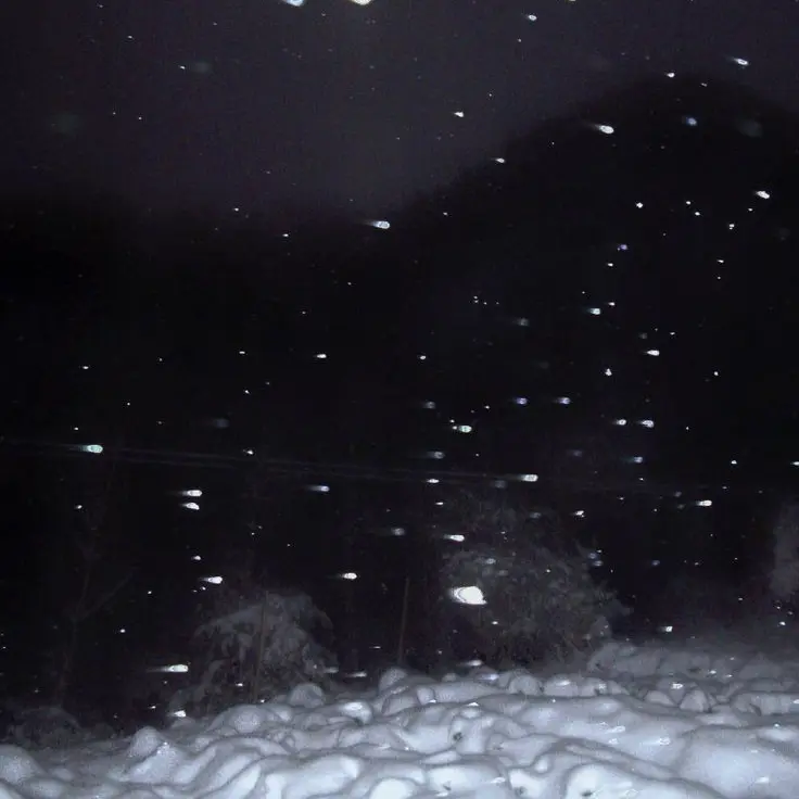 sa1ki_0816의 경계근무 교대 온 일병?