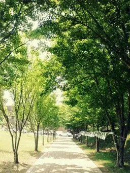 Profile image of 우유참치