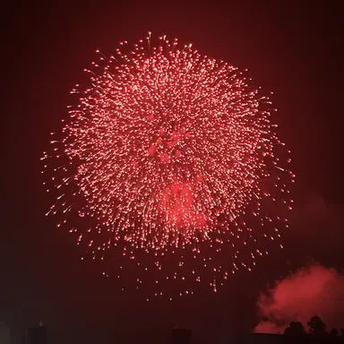 Profile image of モモタロス