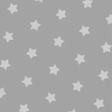 Profile image of 葛葉