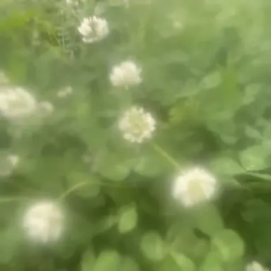 Profile image of 뉴비