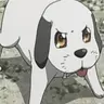 Profile image of Zeke