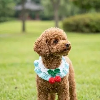 Profile image of 토리