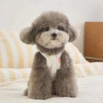 Profile image of 한톨