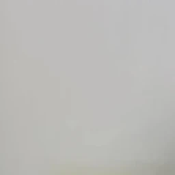 진우