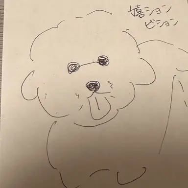 Profile image of ｼｮﾝｼｮﾝ