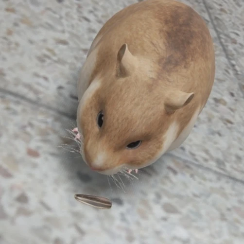 권순영