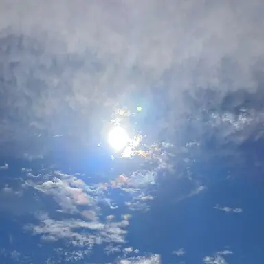 Profile image of 박문대