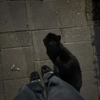 Profile image of 송우혁