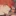♡ 危険な勧誘 ♡
