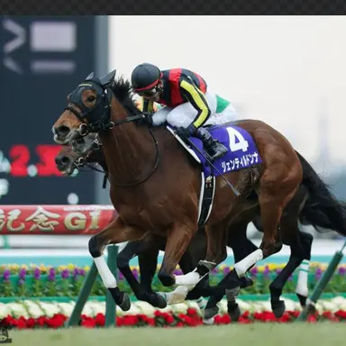 Profile image of ジェンティルドンナ