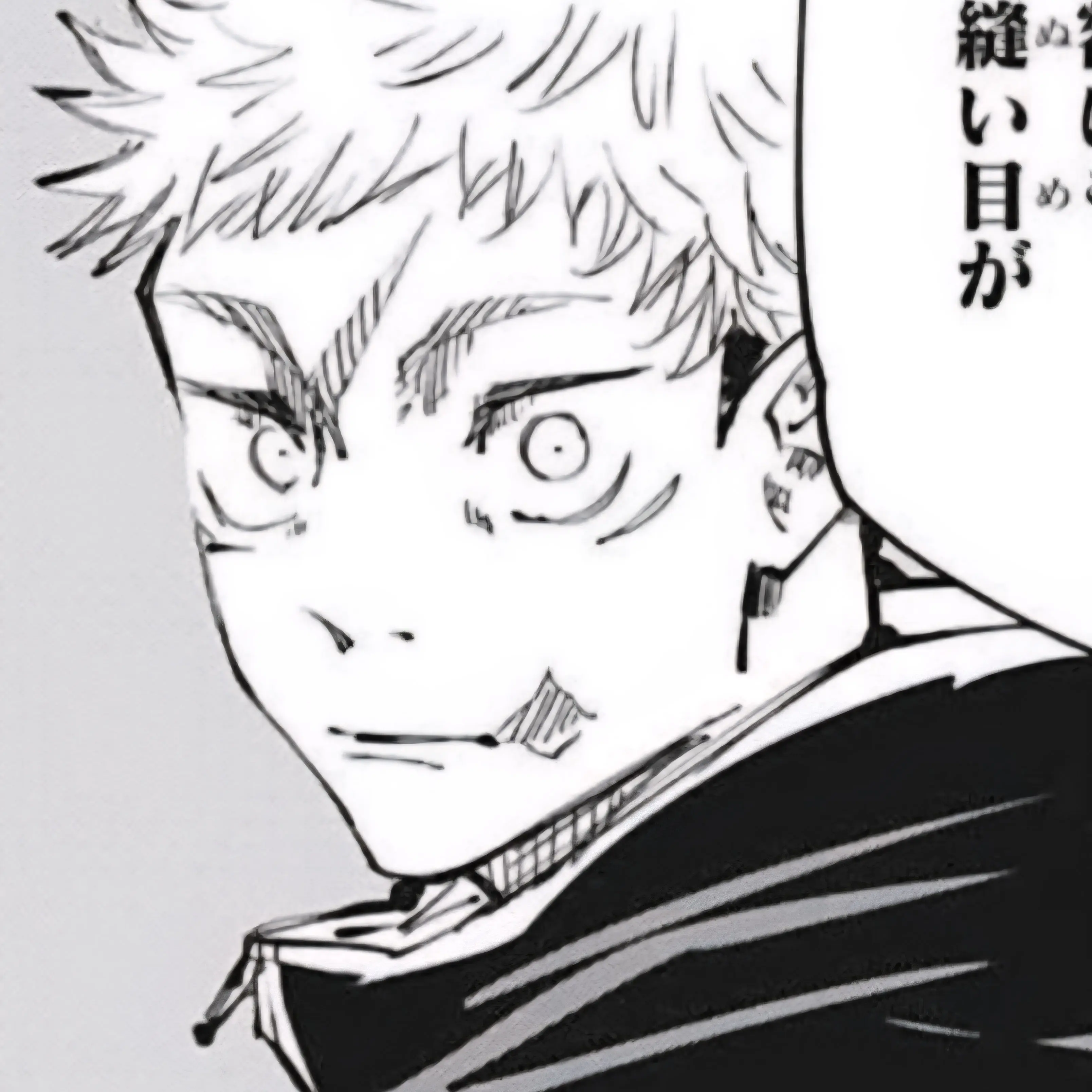 NiceFlake8686의 주술회전:사멸회유