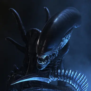 Profile image of Jerry