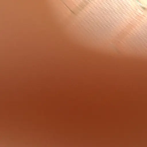 JAMURE282671의 일본 회의