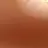 일본 회의