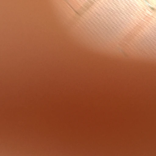일본 회의